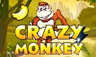 Crazy Monkey