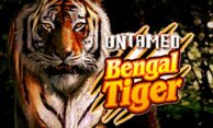 Untamed Bengal Tiger