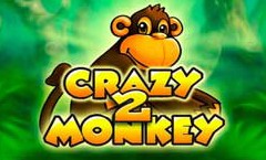 Crazy Monkey 2